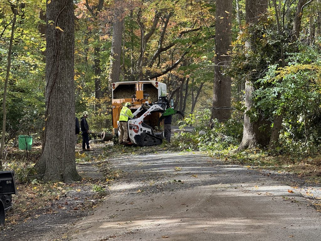 Pro-Stump Tree Service work truck at a park land-clearing site