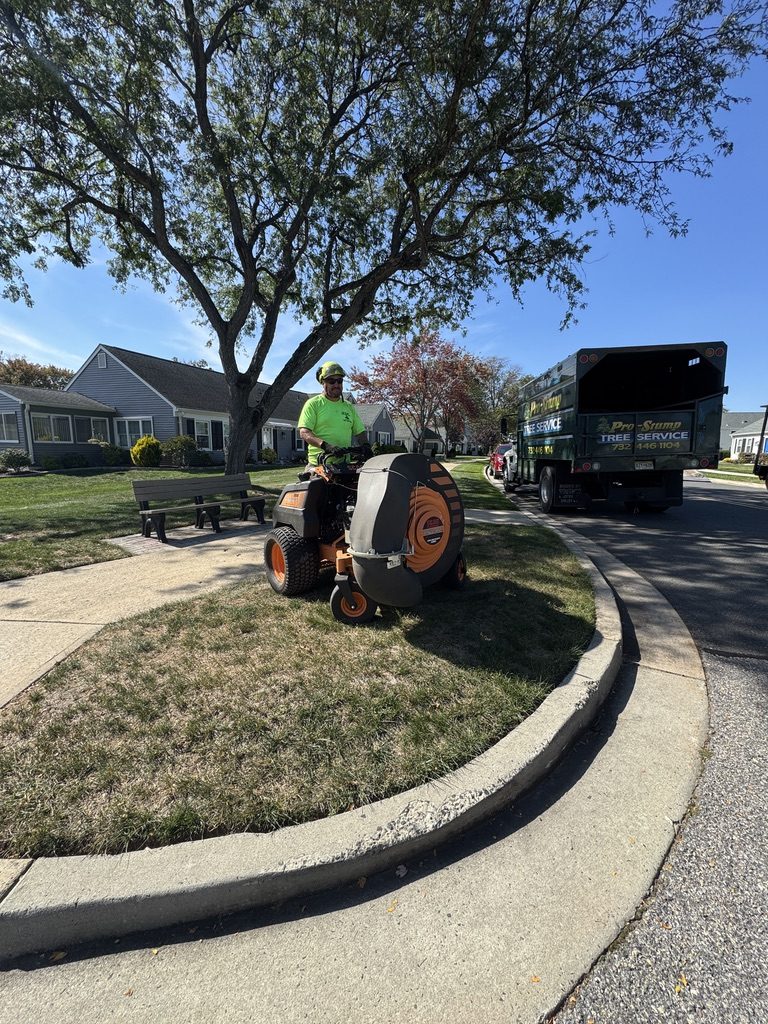 Pro-Stump branded safety cone on a residential worksite