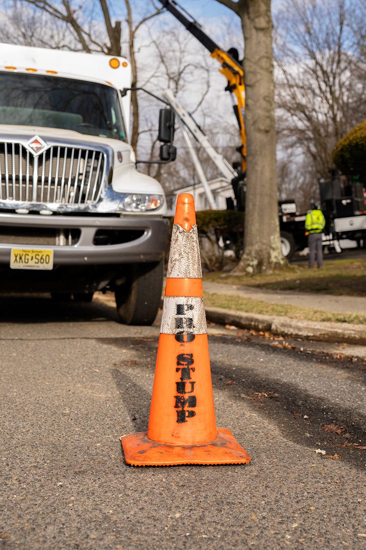 Pro-Stump Tree Service brand signage