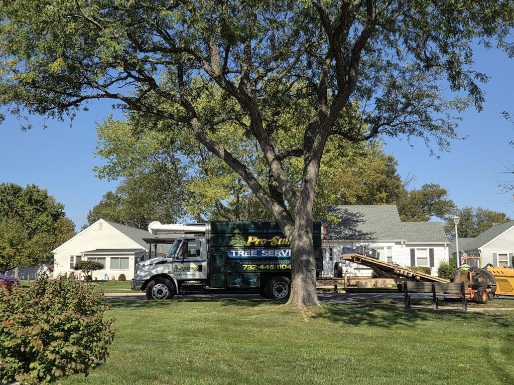 Pro-Stump Tree Service truck staged for a residential tree job