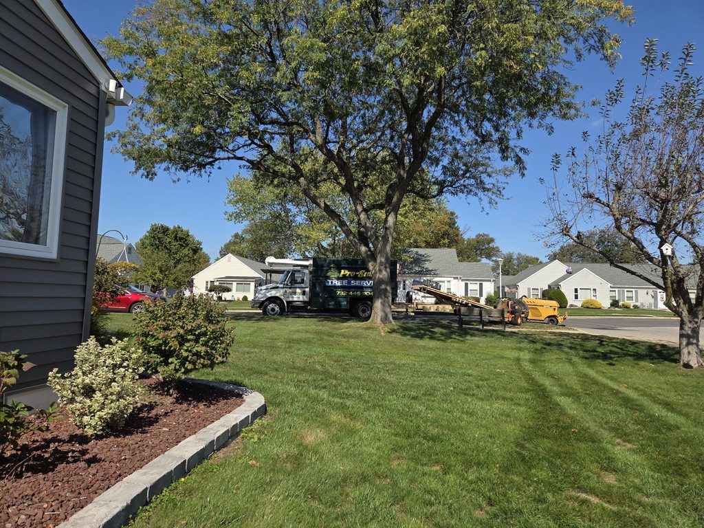 Pro-Stump Tree Service truck staged for a residential tree job