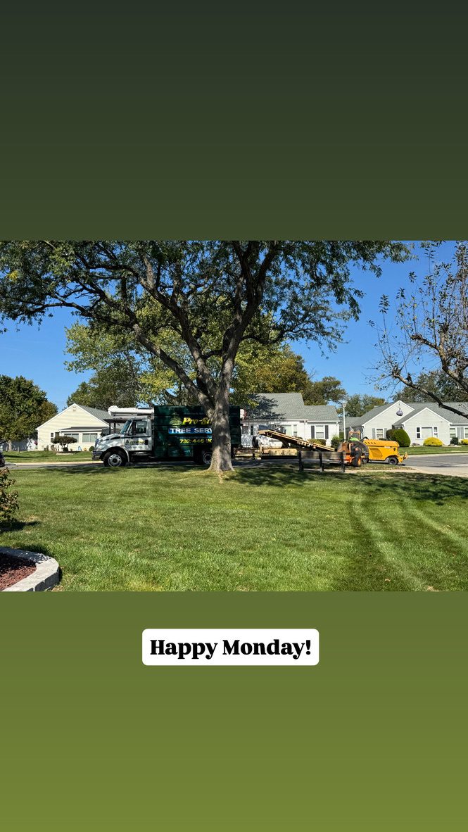 Pro-Stump Tree Service work truck on a residential worksite