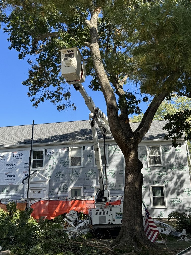 Pro-Stump Tree Service work truck on a residential worksite