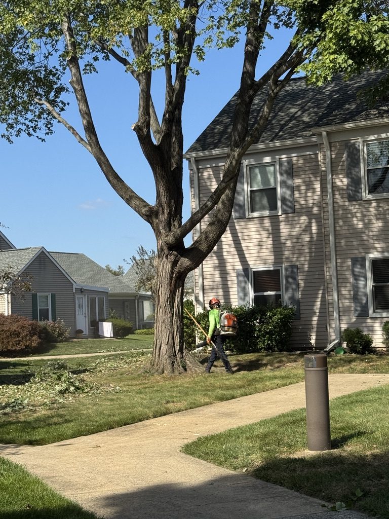 Pro-Stump Tree Service work truck on a residential worksite