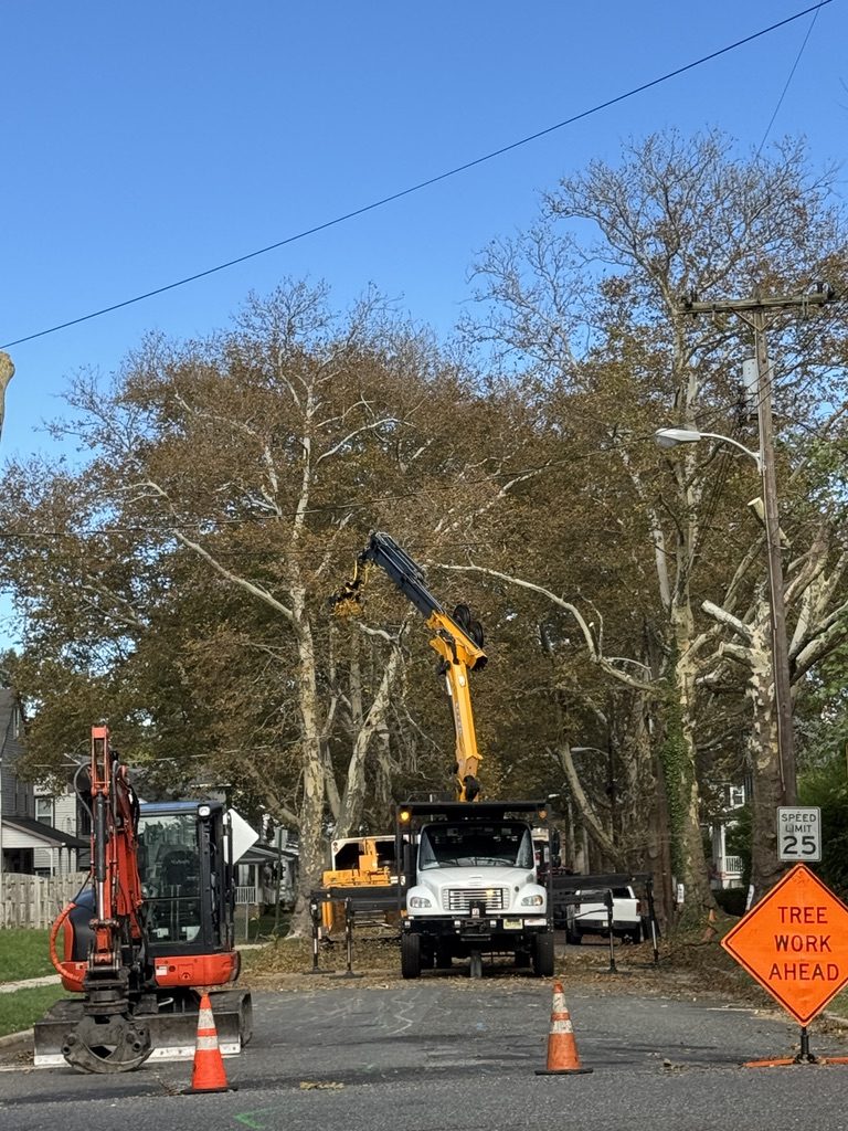 Residential crane-assisted tree removal by Pro-Stump Tree Service