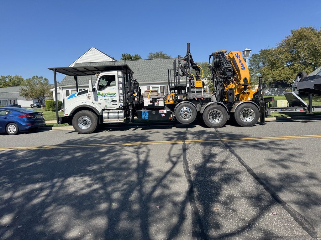 Residential hardwood tree removal by Pro-Stump Tree Service