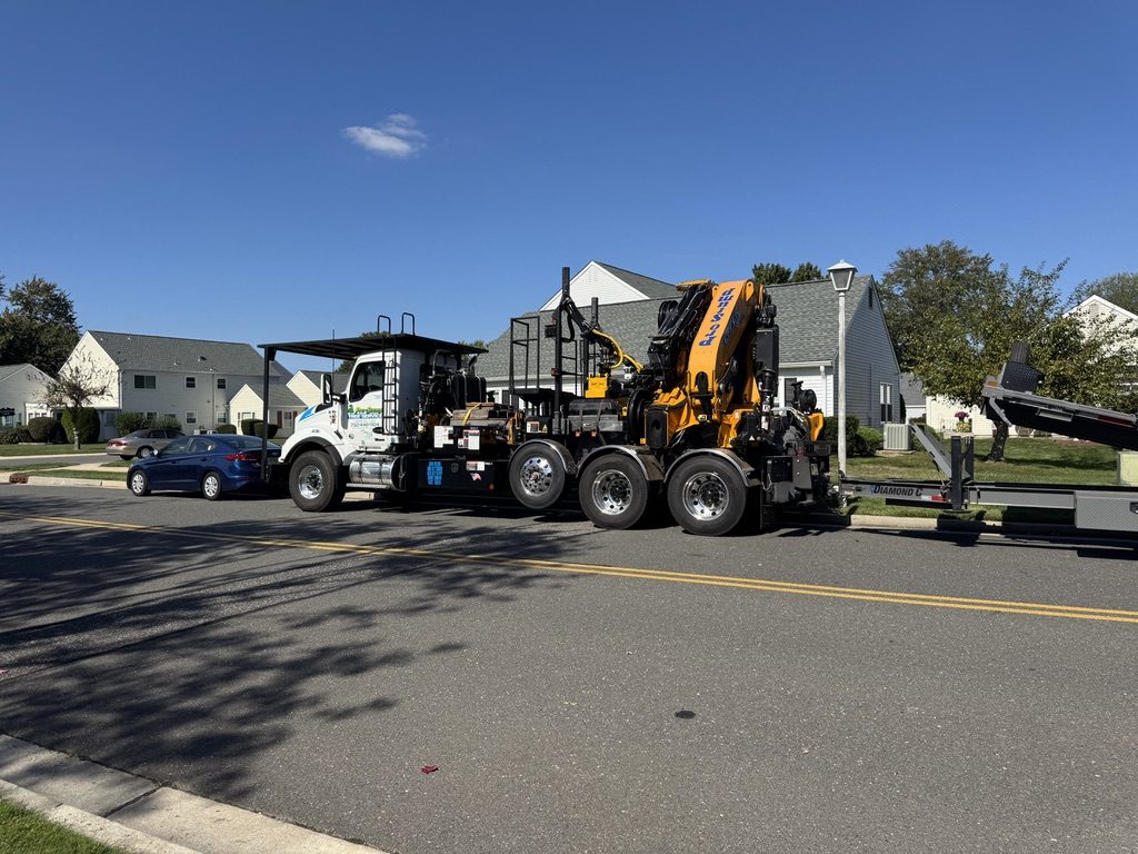 Residential hardwood tree removal by Pro-Stump Tree Service