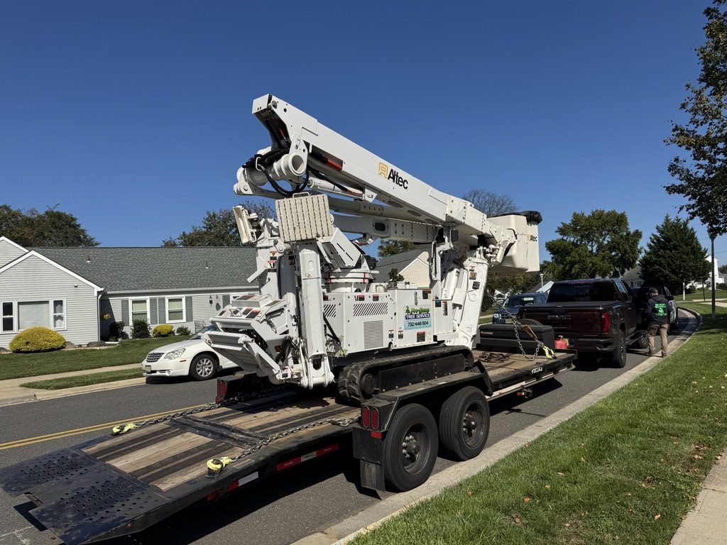 Residential oak tree removal by Pro-Stump Tree Service