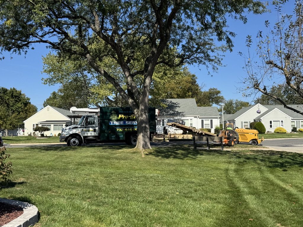 Residential tree pruning by Pro-Stump Tree Service