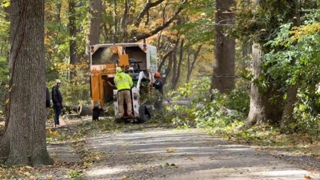 Storm damage tree cleanup by Pro-Stump Tree Service