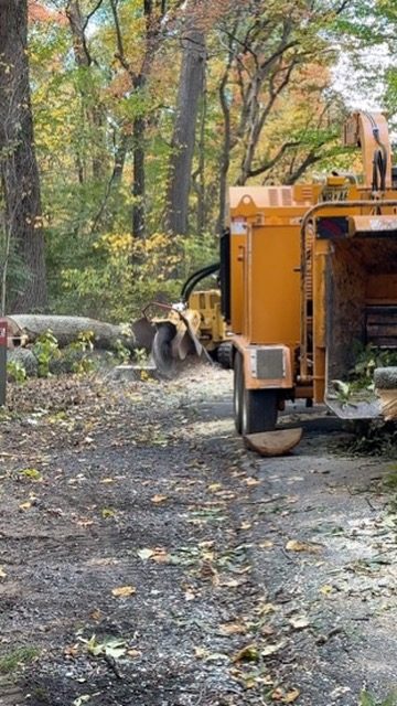 Storm damage tree cleanup by Pro-Stump Tree Service