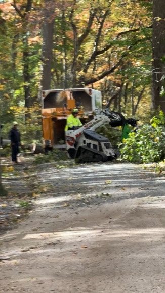 Storm damage tree cleanup by Pro-Stump Tree Service