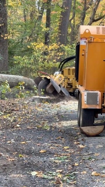 Storm damage tree cleanup by Pro-Stump Tree Service