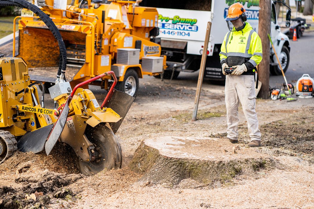 Rayco stump grinder in action by Pro-Stump Tree Service