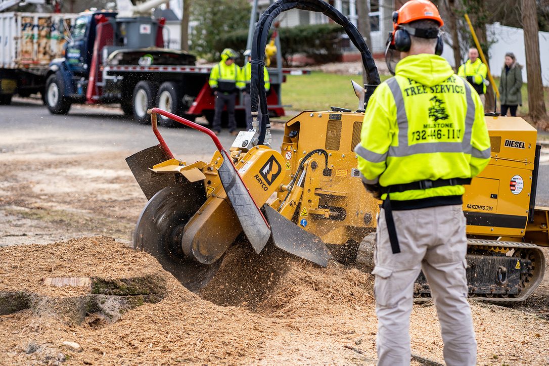 Rayco stump grinder in action by Pro-Stump Tree Service