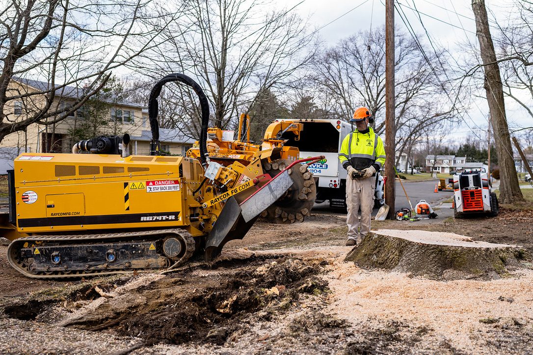 Rayco stump grinder in action by Pro-Stump Tree Service