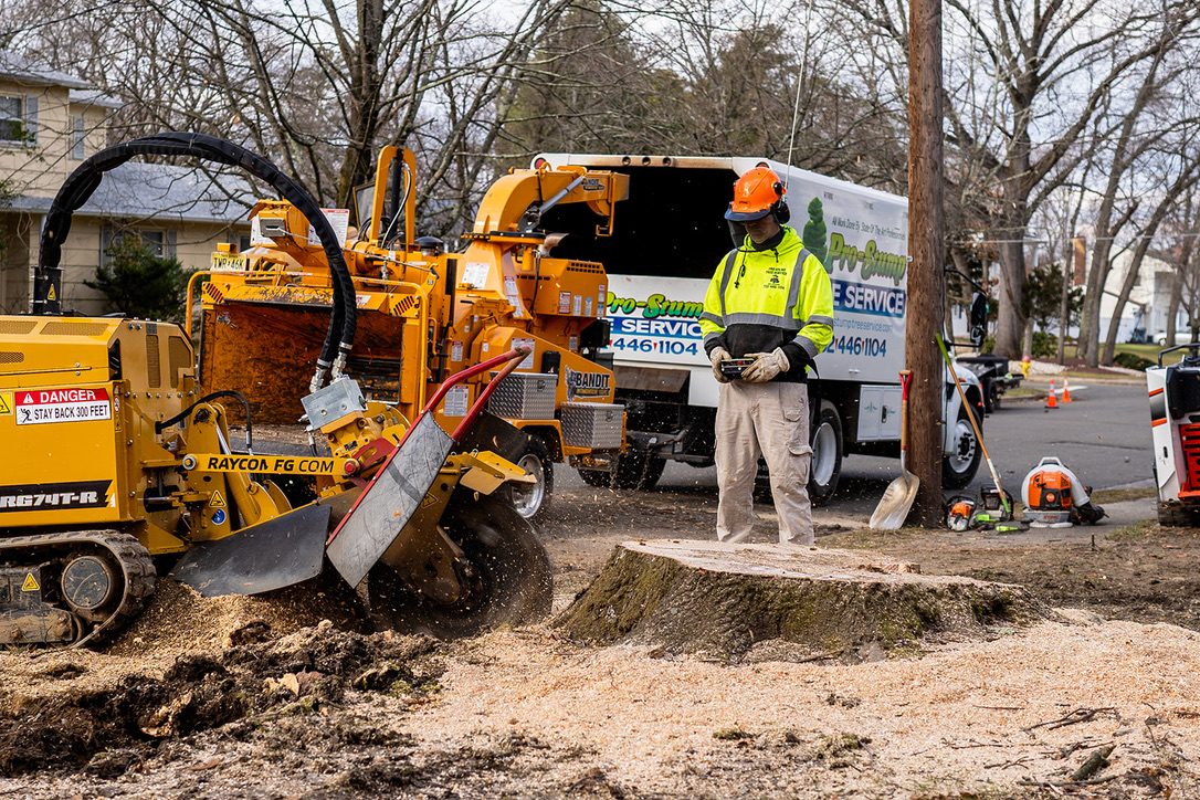 Rayco stump grinder in action by Pro-Stump Tree Service