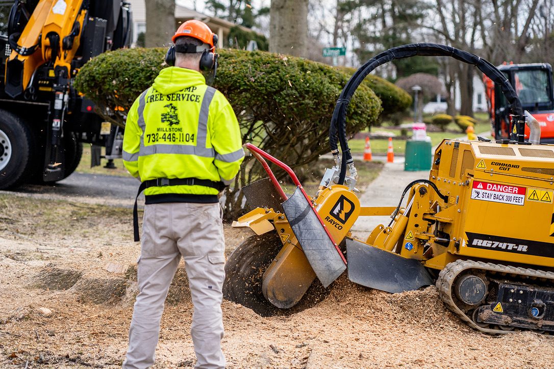 Rayco stump grinder in action by Pro-Stump Tree Service