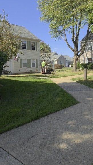 Rayco stump grinder in action by Pro-Stump Tree Service