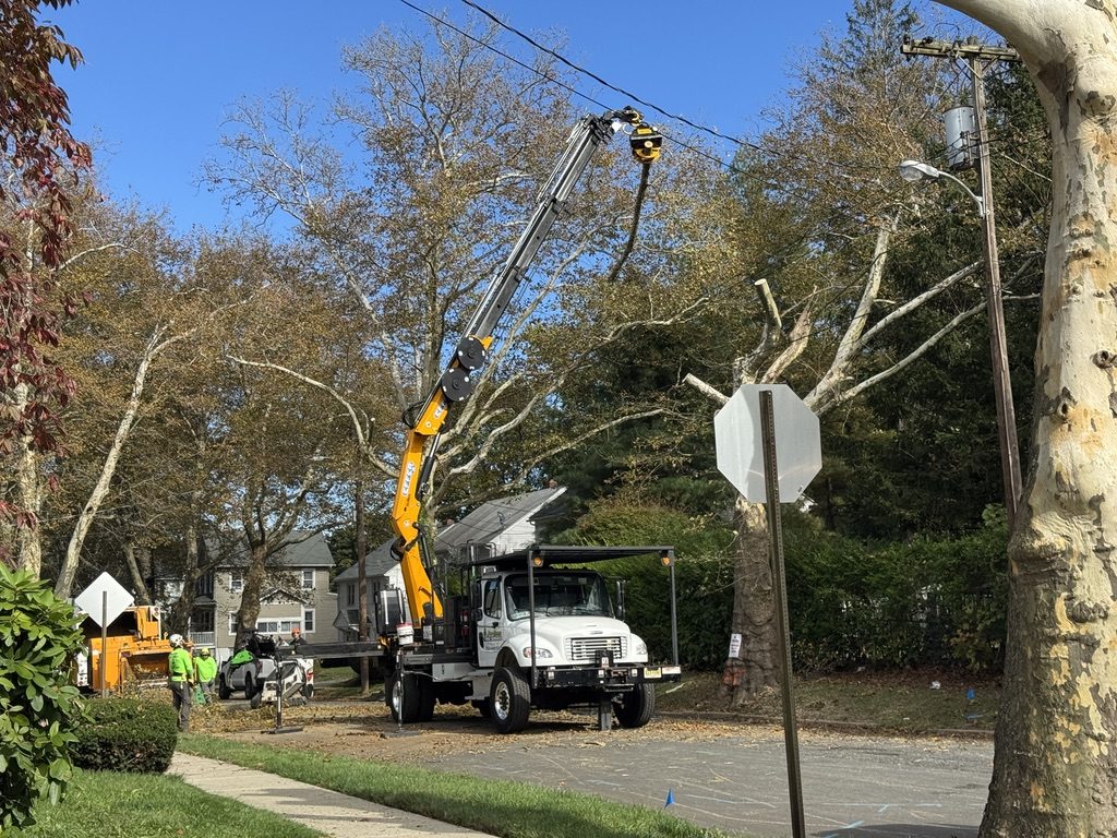 Terex Stinger crane truck by Pro-Stump Tree Service