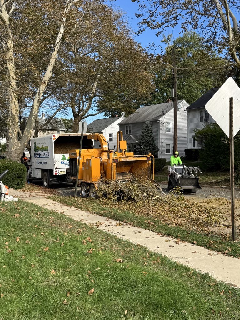 Terex Stinger crane truck by Pro-Stump Tree Service