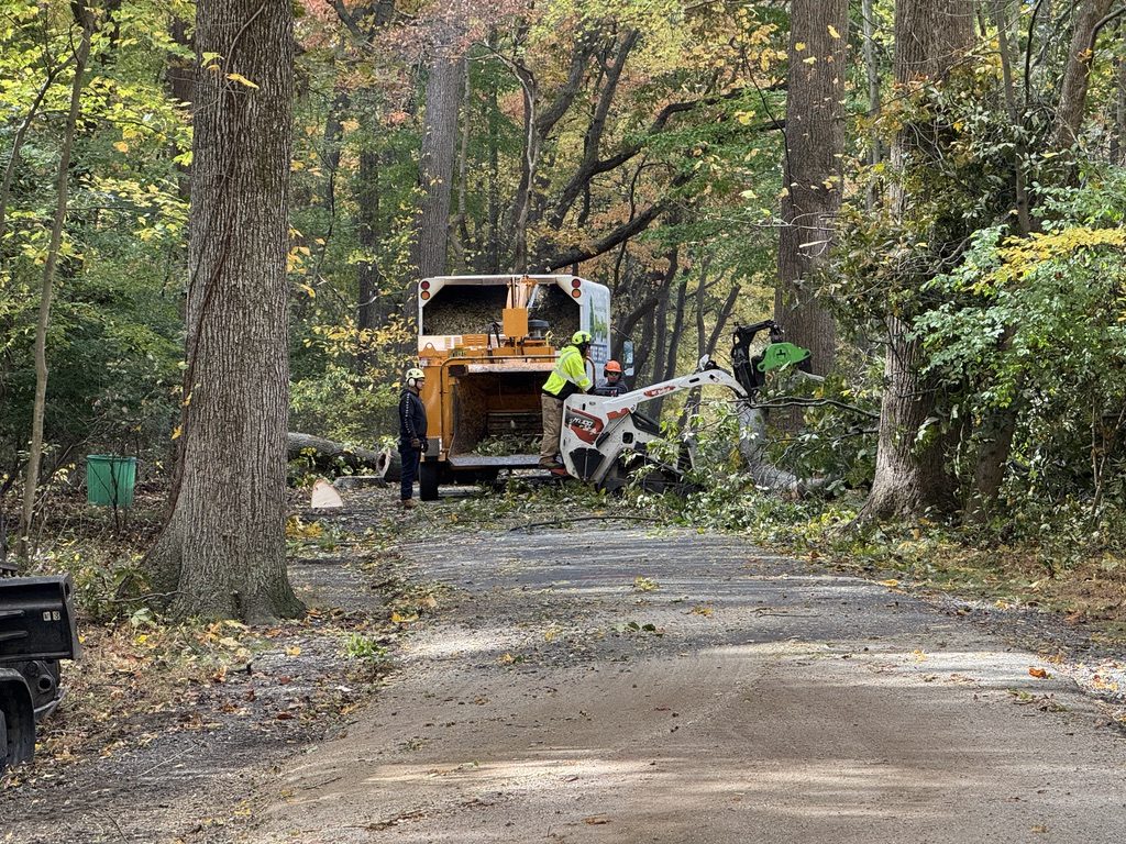 Heavy equipment staged for wooded lot clearing by Pro-Stump Tree Service