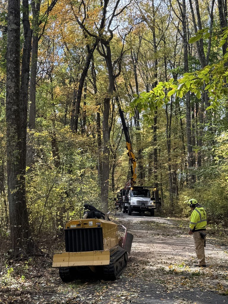 Heavy equipment staged for wooded lot clearing by Pro-Stump Tree Service