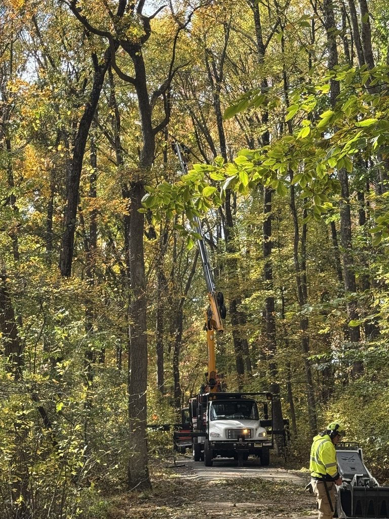Heavy equipment staged for wooded lot clearing by Pro-Stump Tree Service