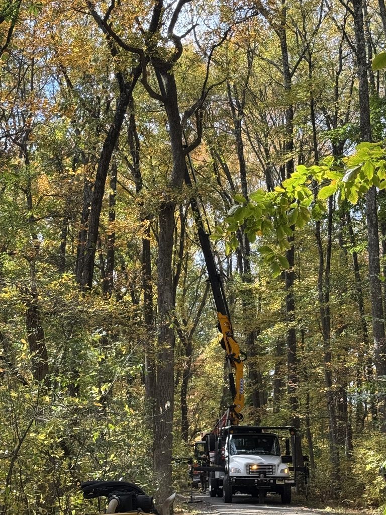Heavy equipment staged for wooded lot clearing by Pro-Stump Tree Service