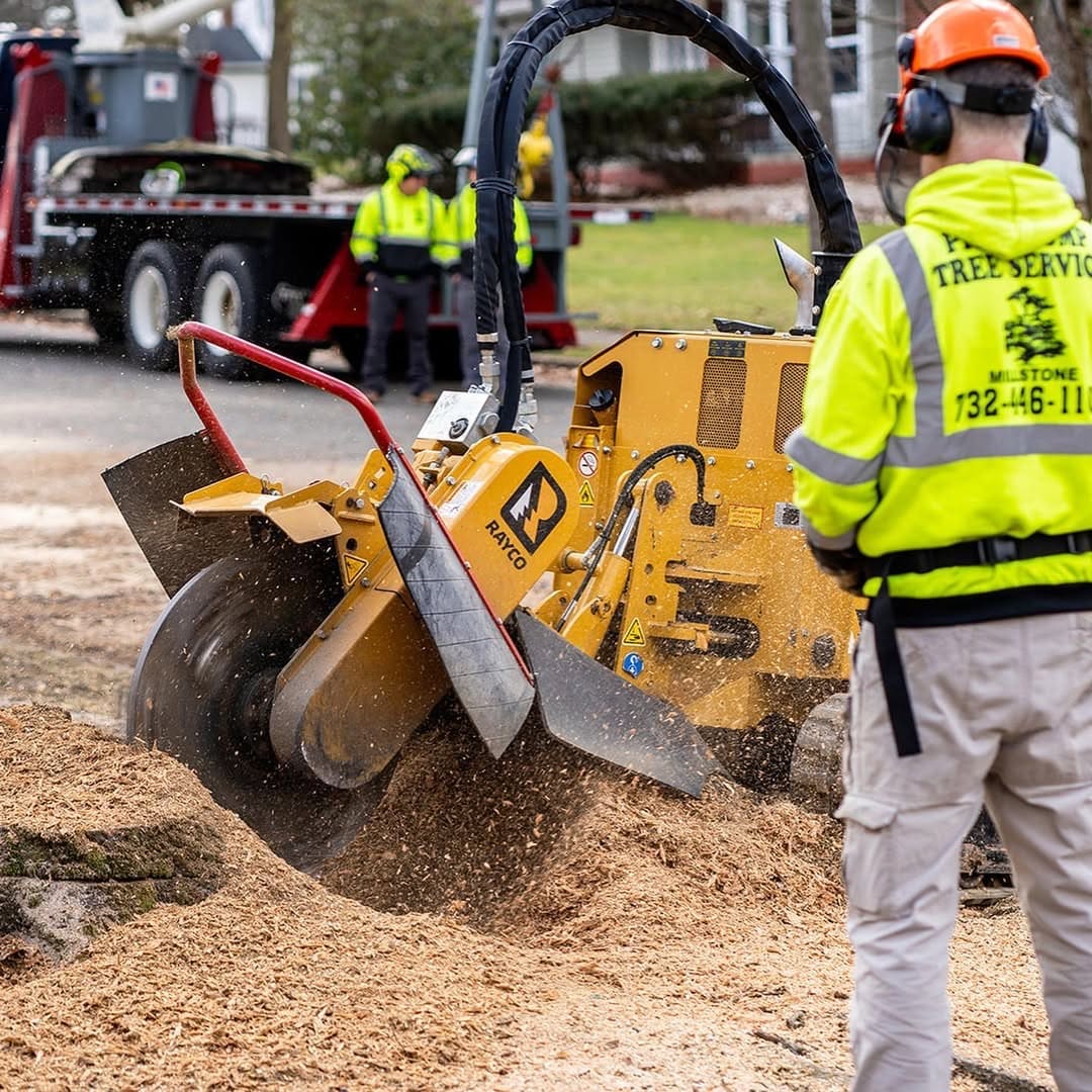 Stump Grinding results by Pro-Stump Tree Service in Central NJ