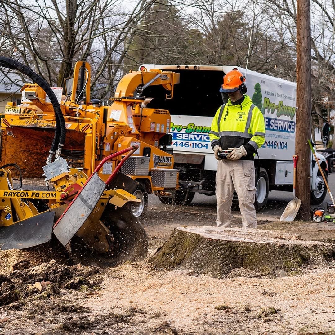 Complete stump removal by Pro-Stump Tree Service