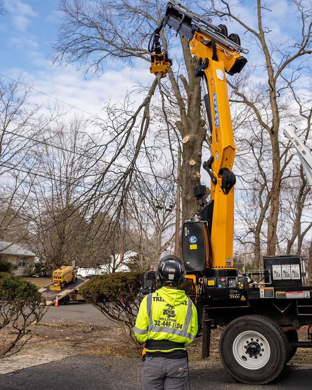 Christmas Tree Light Installation by Pro-Stump Tree Service in Central NJ