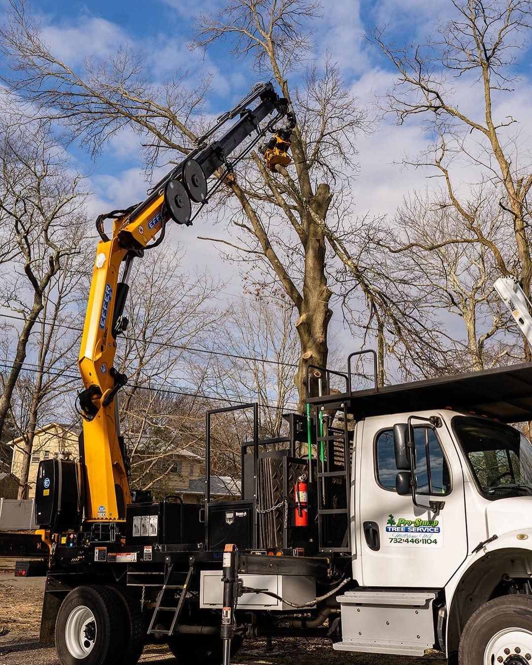 Pro-Stump Tree Service grapple saw