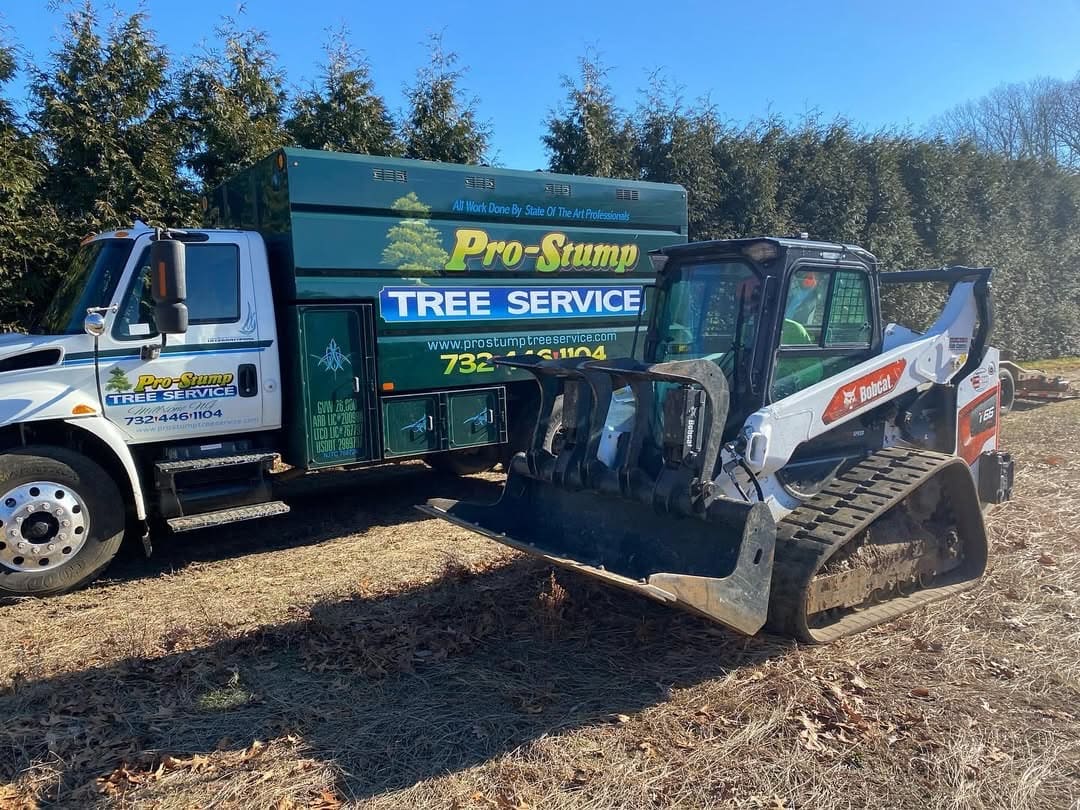 Land Clearing results by Pro-Stump Tree Service in Central NJ