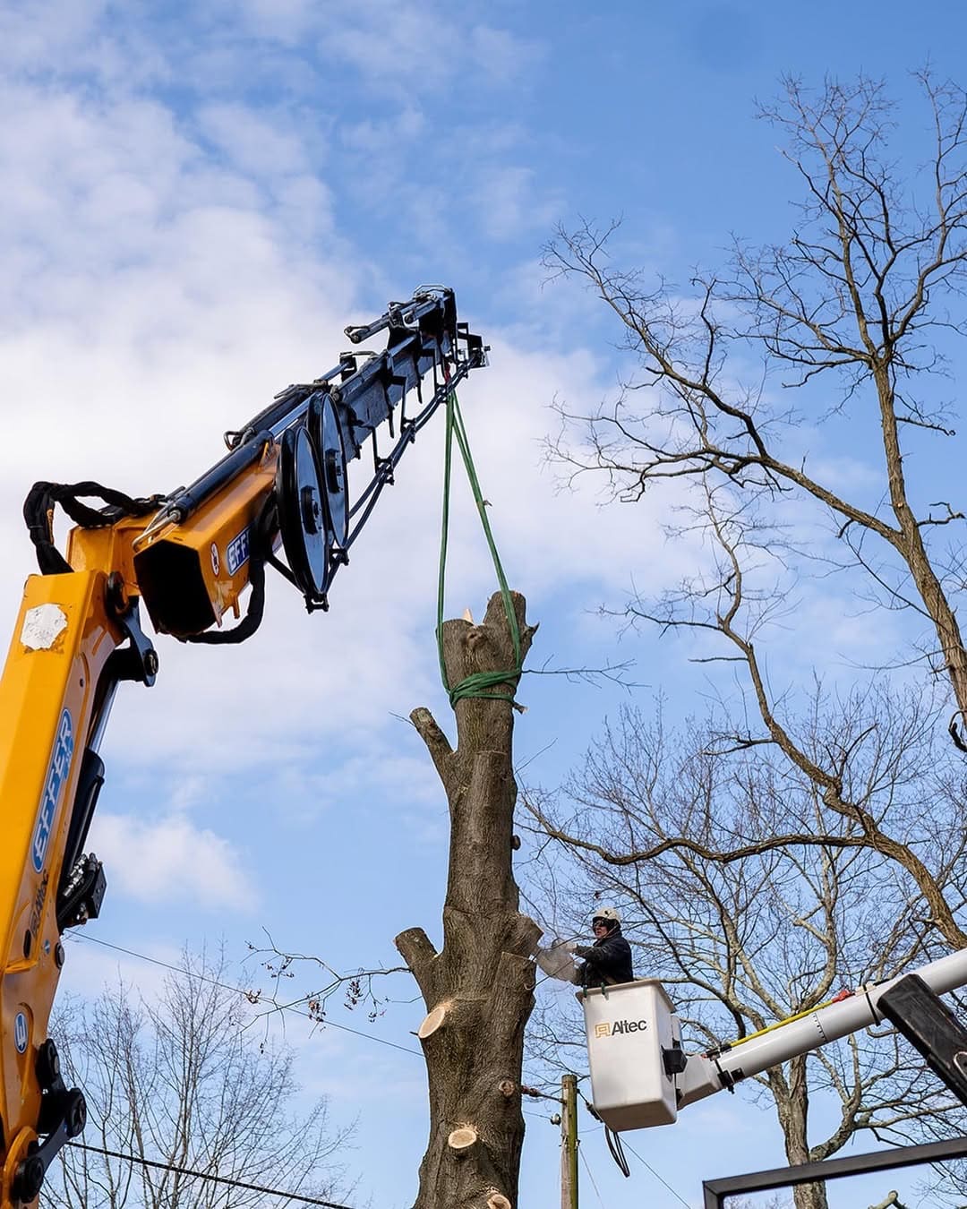 Grapple saw tree removal by Pro-Stump Tree Service
