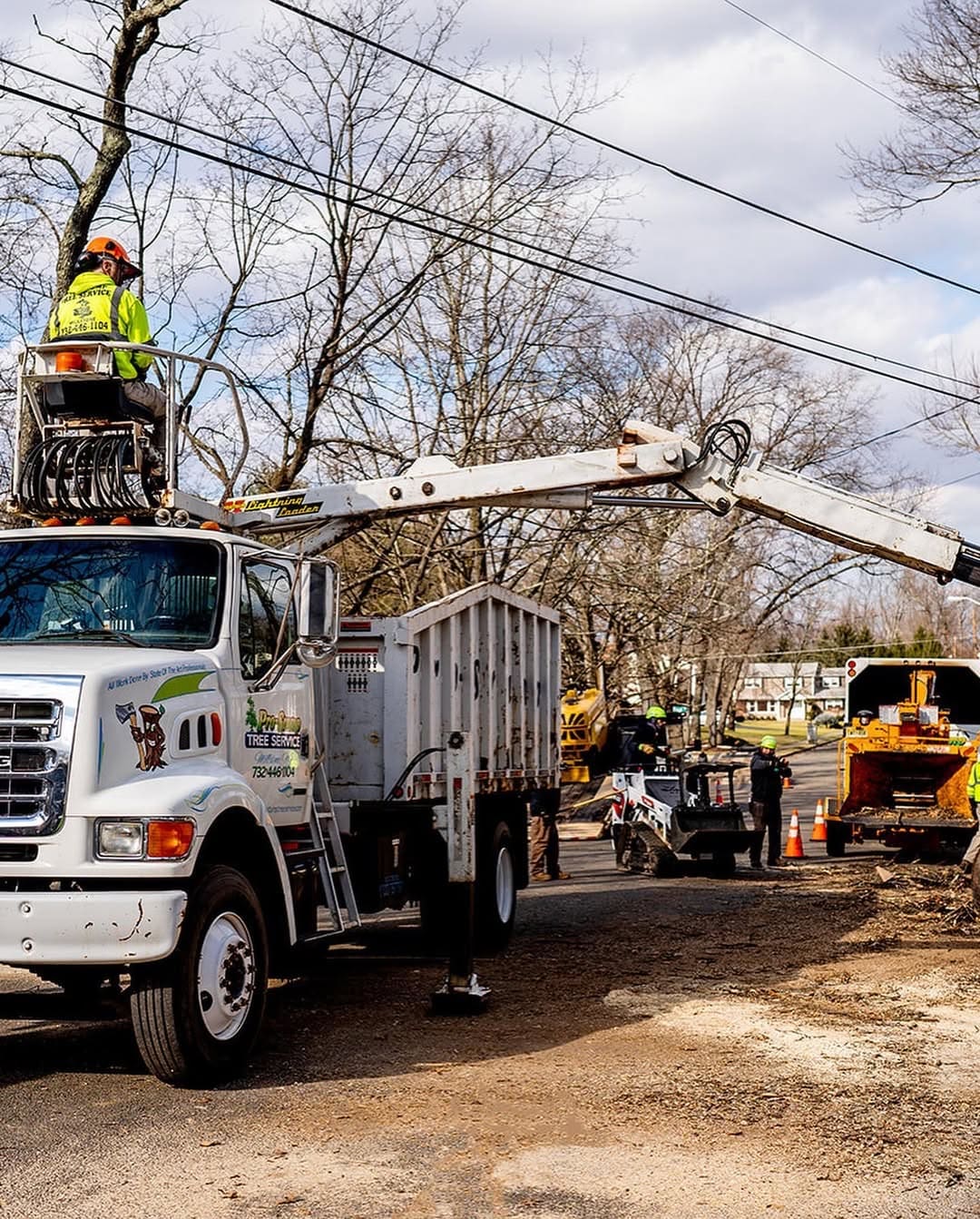 Pro-Stump Tree Service wood truck